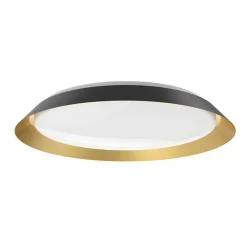 Ebert LED Ceiling Light