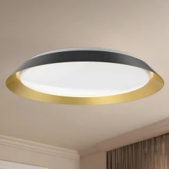 Ebert LED Ceiling Light
