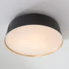 ED Ellen DeGeneres Asher 3 Light Flush Mount