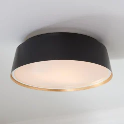 ED Ellen DeGeneres Asher 3 Light Flush Mount