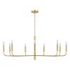 ED Ellen DeGeneres Brianna Chandelier
