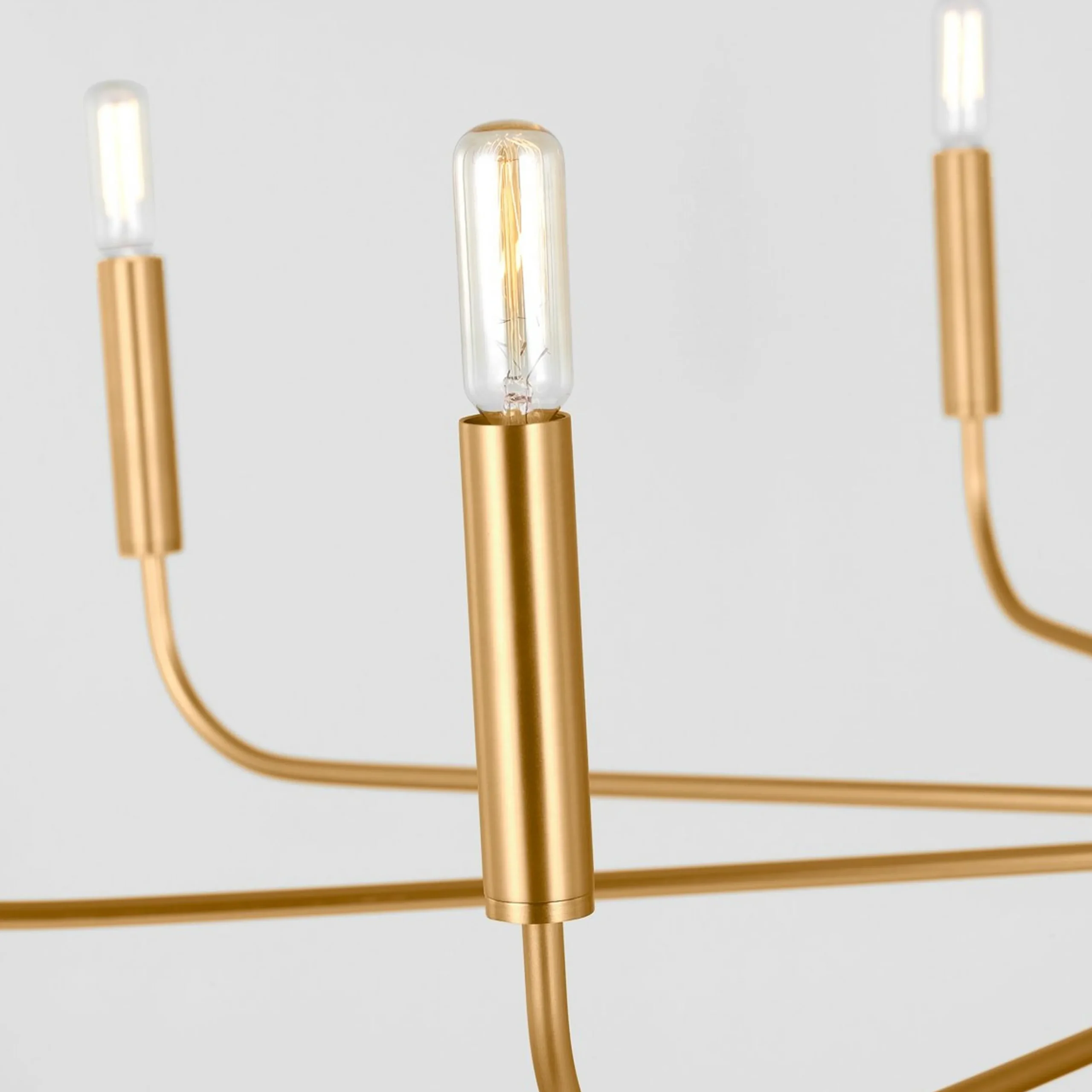 ED Ellen DeGeneres Brianna Chandelier