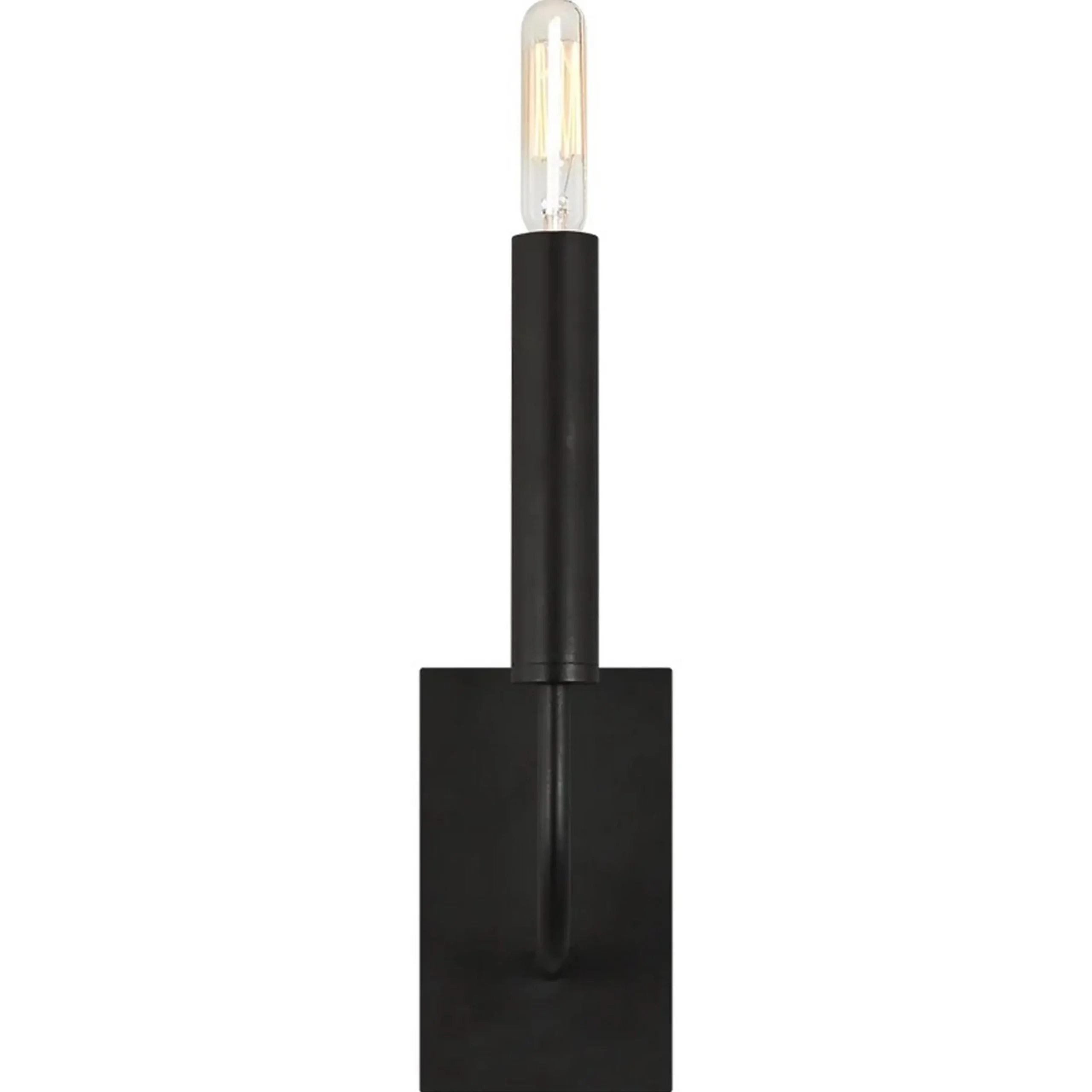 ED Ellen DeGeneres Brianna Sconce