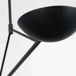 ED Ellen DeGeneres Nevel Island Chandelier