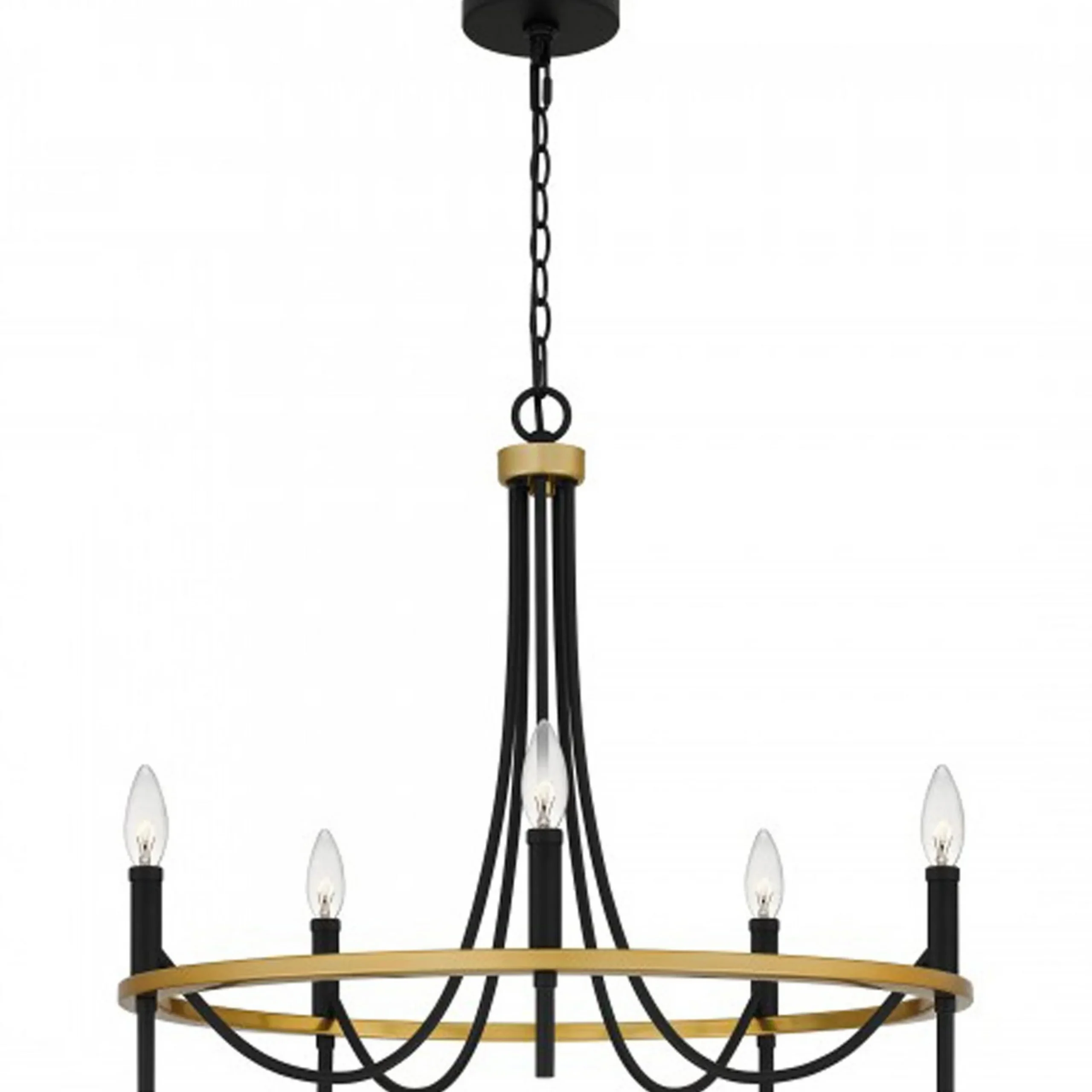 Elaina Swag Chandelier