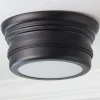 Erin & Ben Co. Crescent Line Ceiling Light