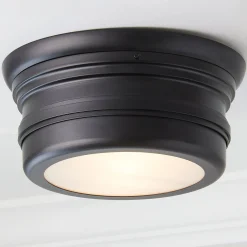 Erin & Ben Co. Crescent Line Ceiling Light