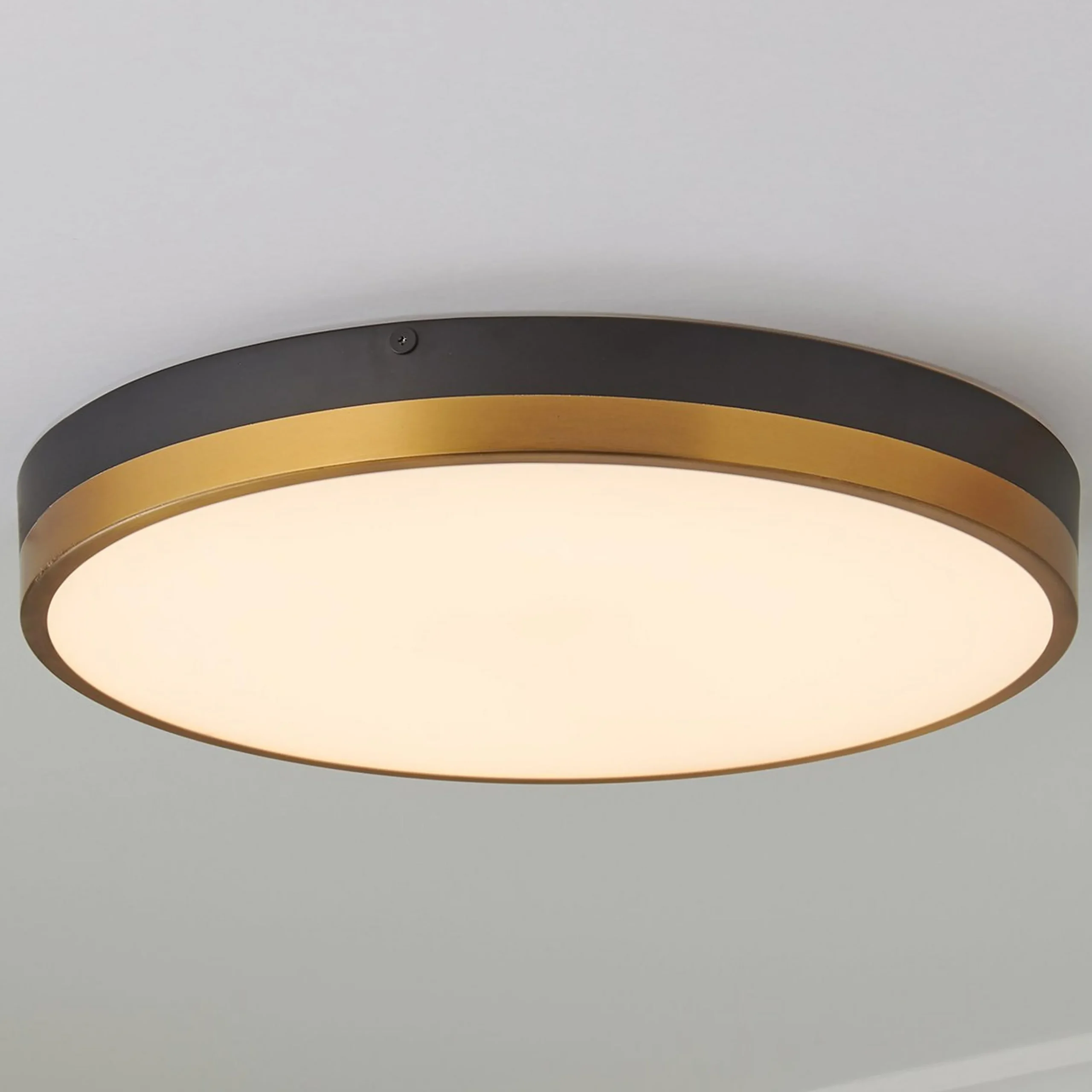 Erwina LED Round Ceiling Light - Large