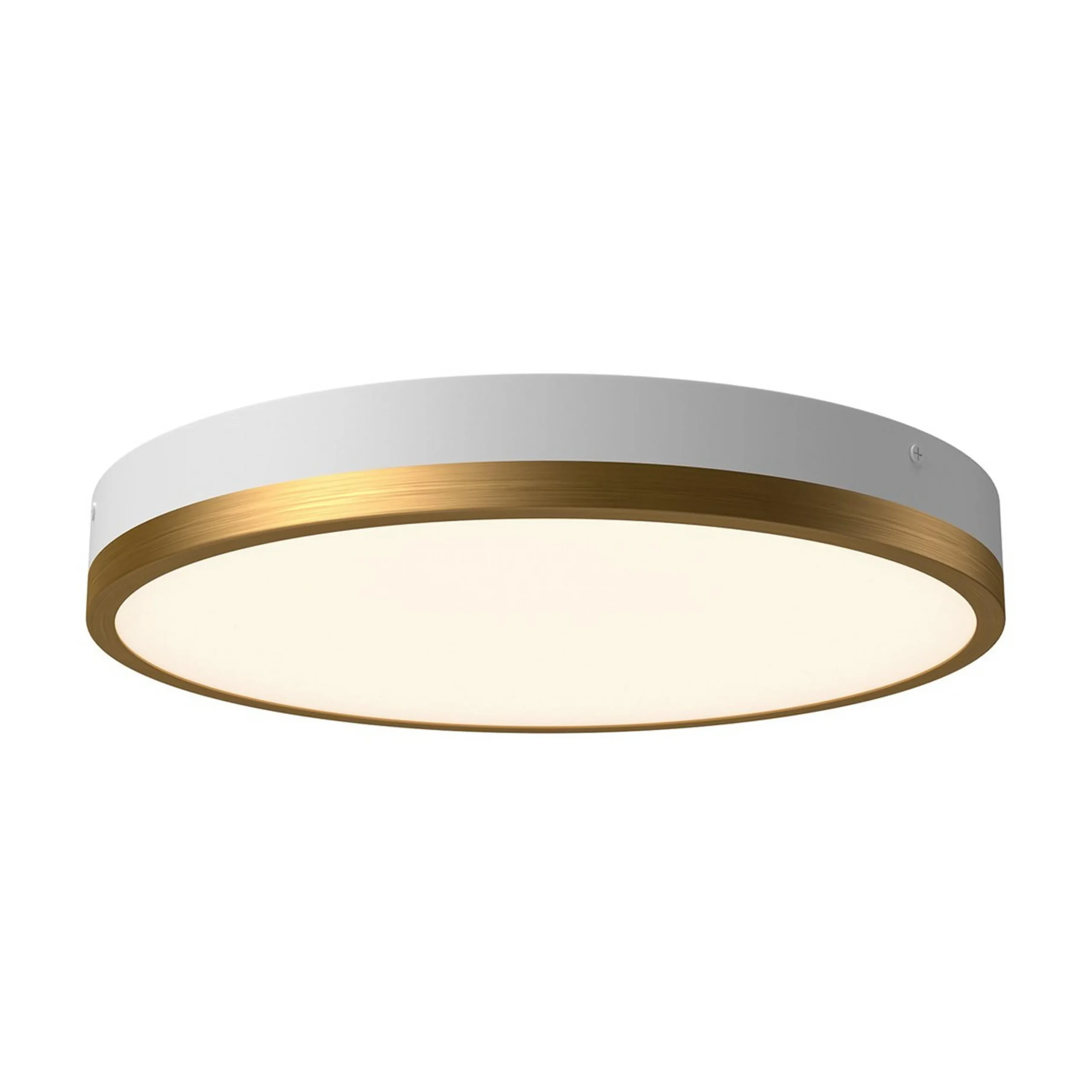 Erwina LED Round Ceiling Light - Large