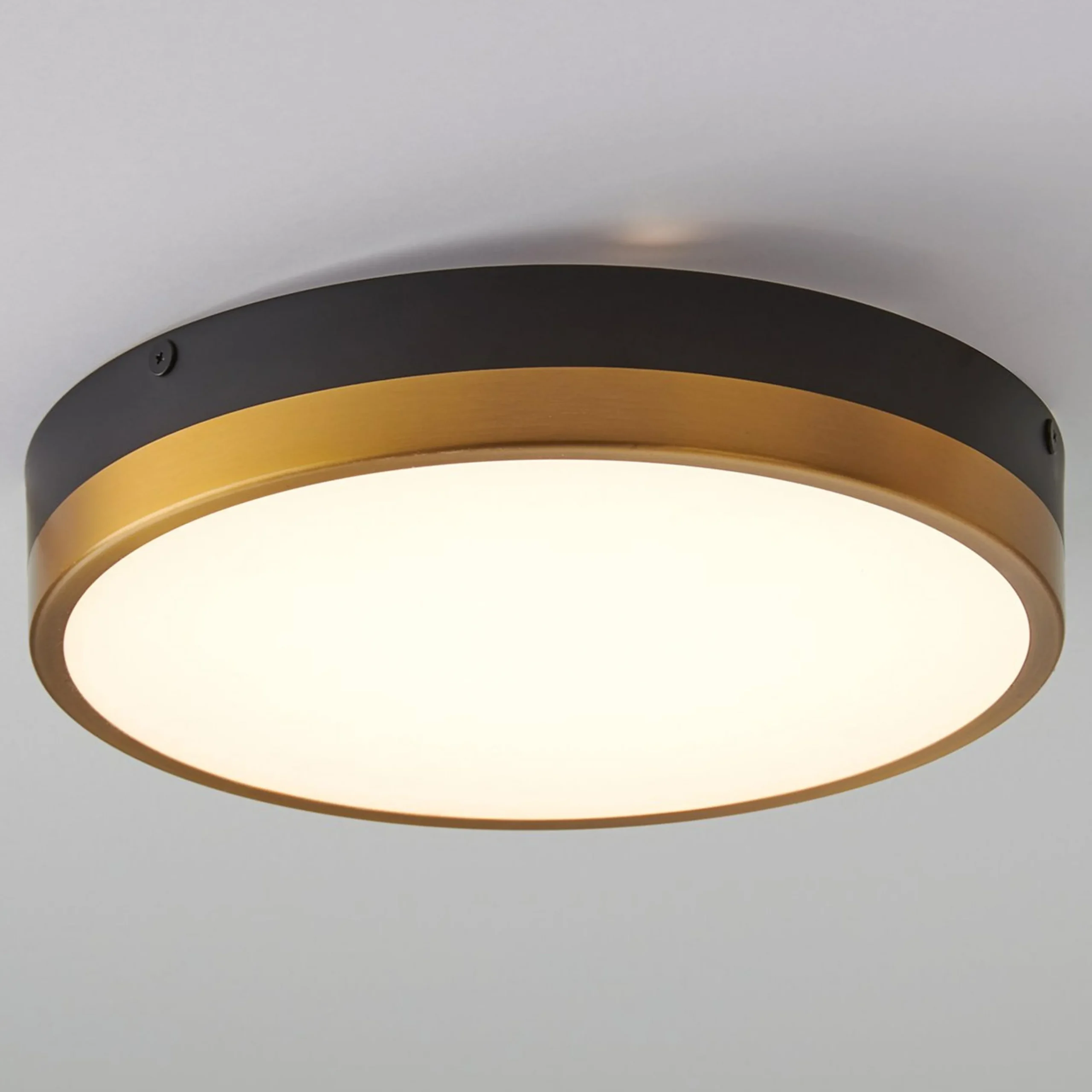 Erwina LED Round Ceiling Light - Small