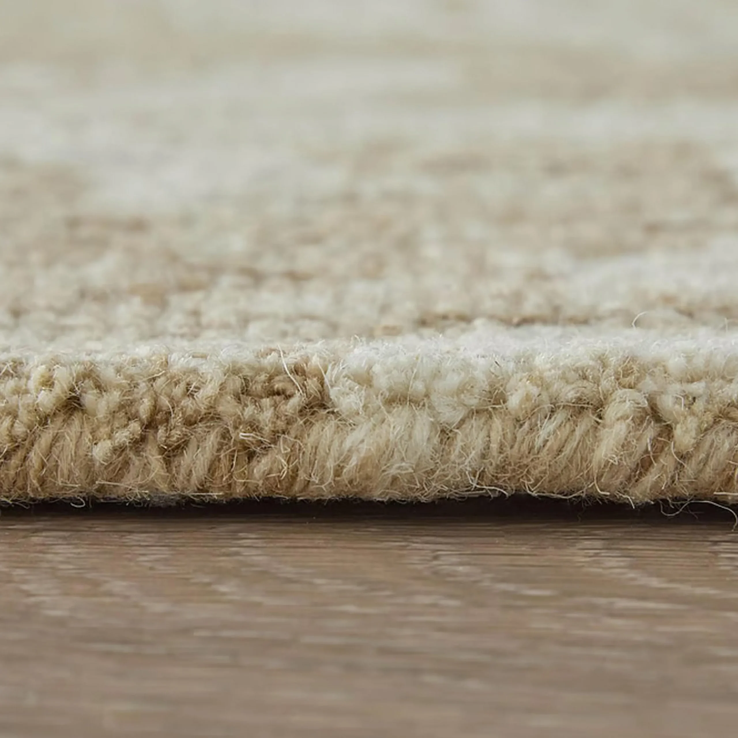 Estaire Hand-Tufted Rug