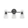 Ethridge Vanity Light - 3 Light