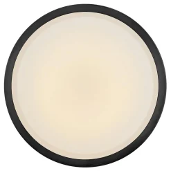 Etude Ceiling Light