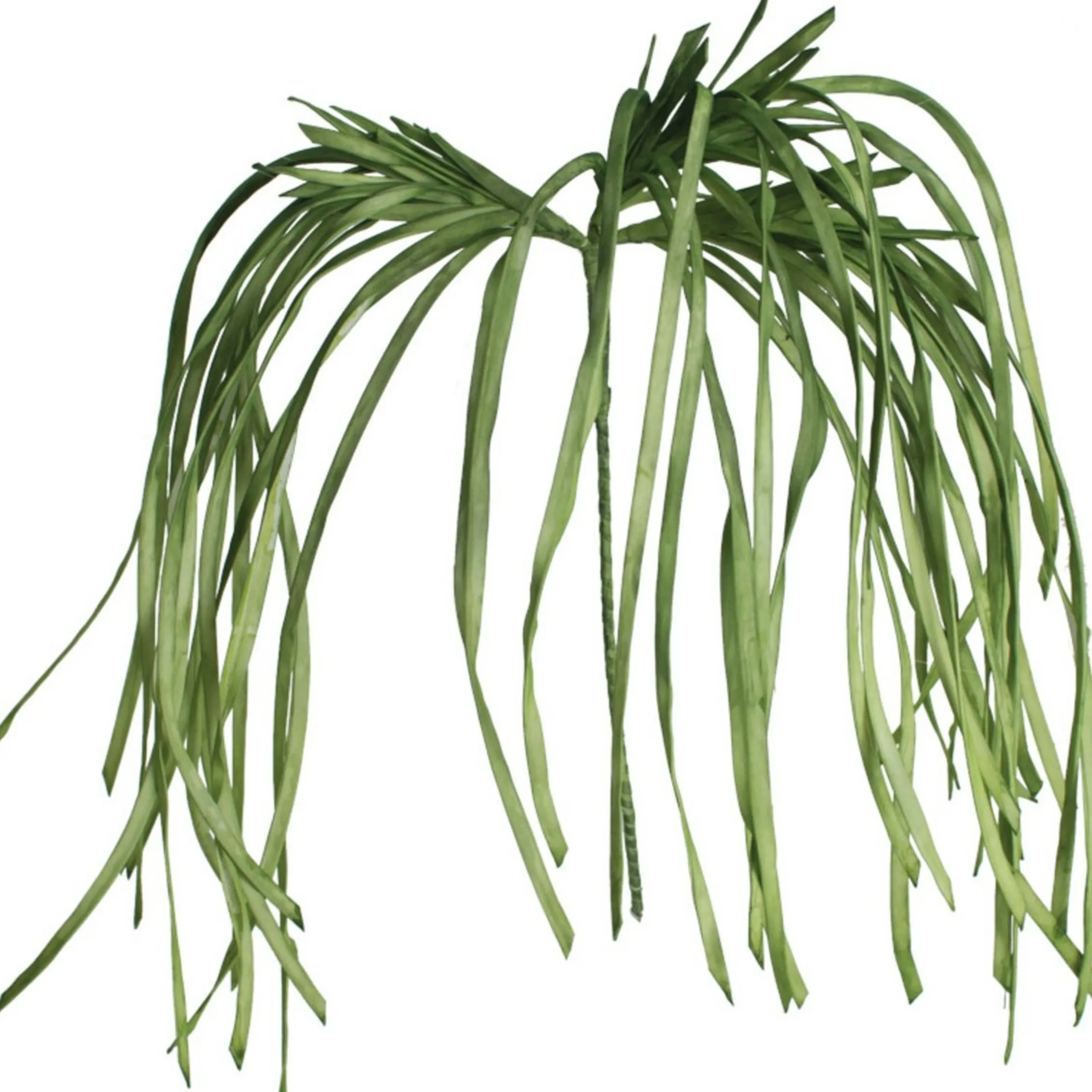 Faux Botanical Decor I