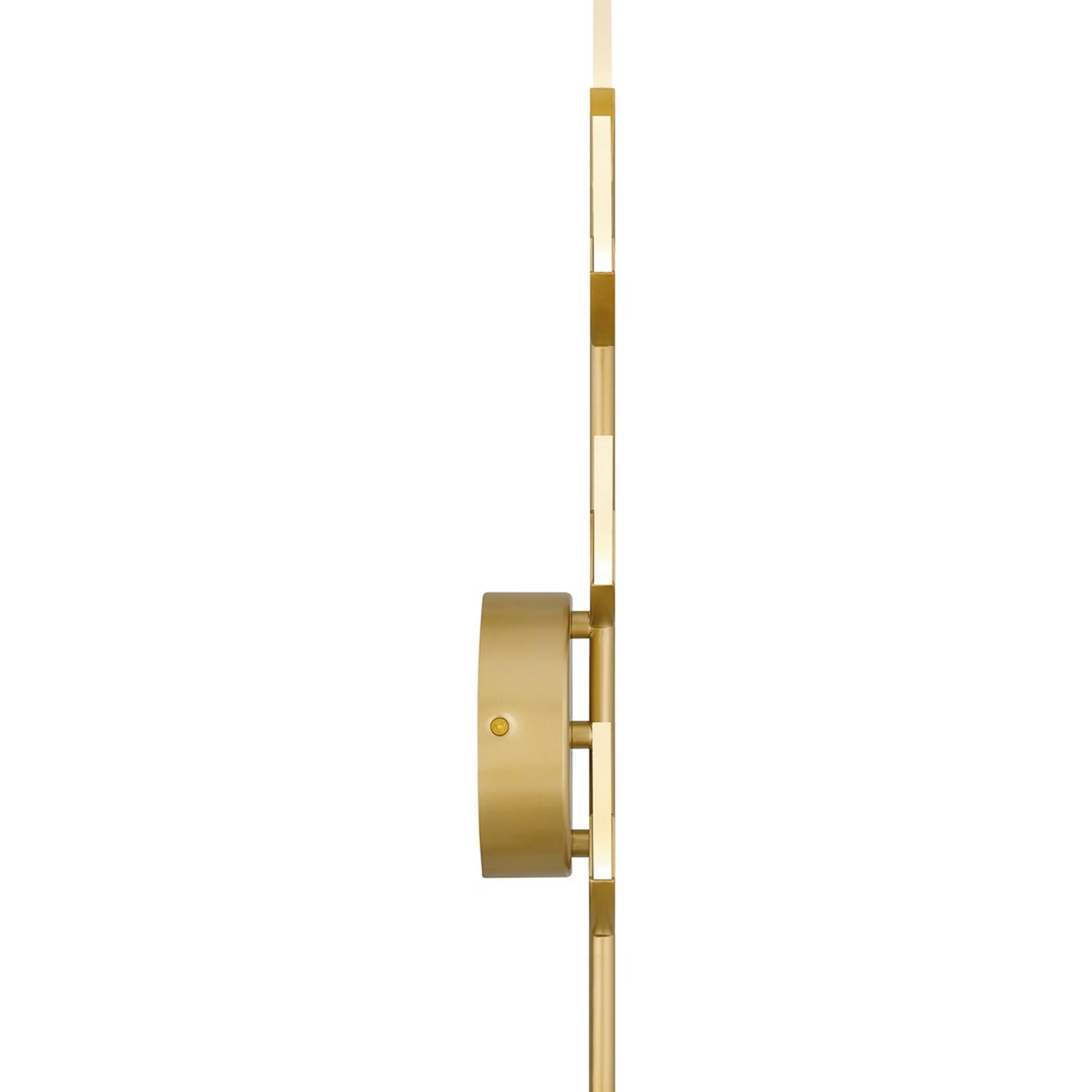 Fern LED Sconce