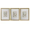 Golden Oyster Set of Three Wall Decor