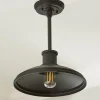 Gooseneck Warehouse Convertible Ceiling Light
