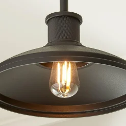 Gooseneck Warehouse Convertible Ceiling Light