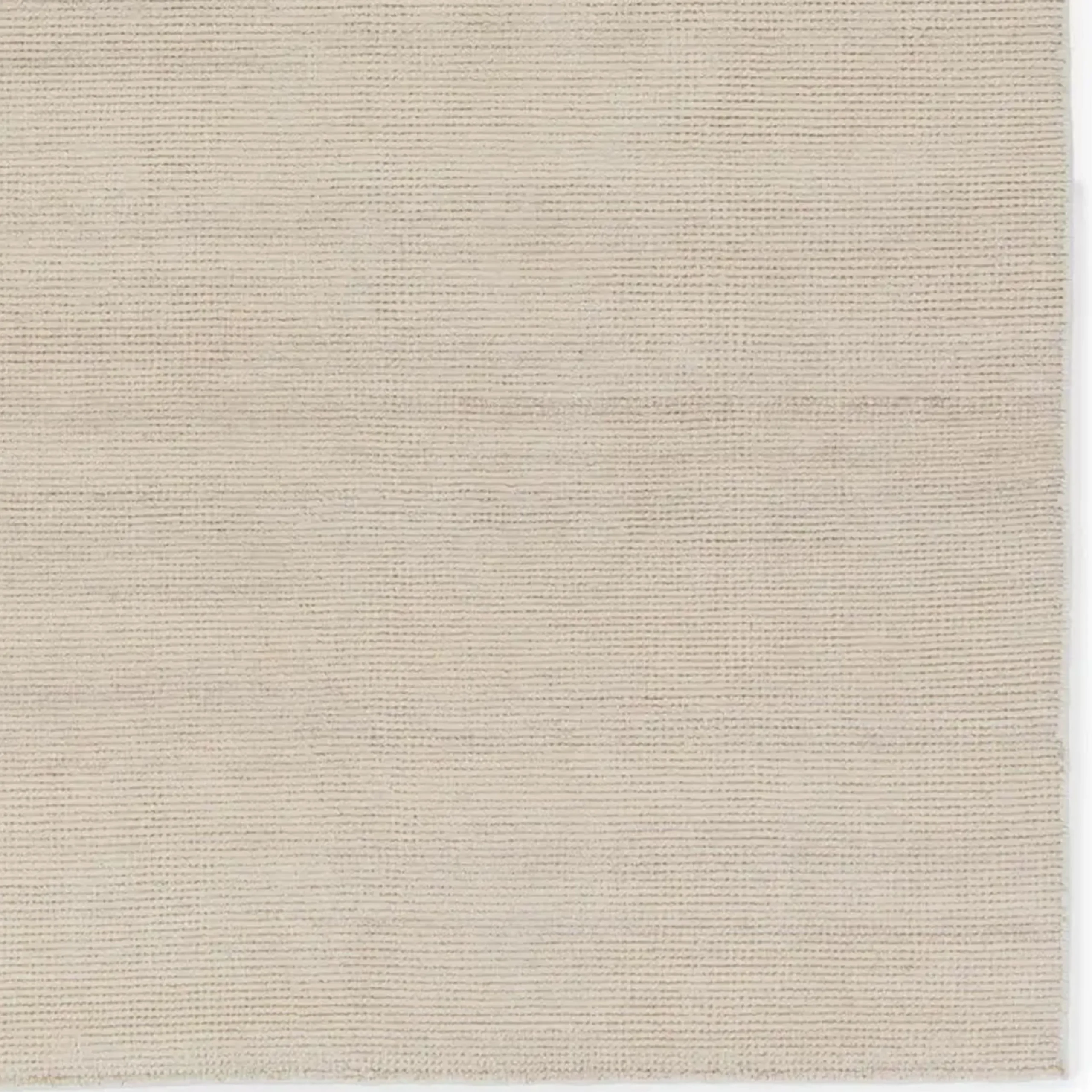 Halston Handwoven Indoor / Outdoor Rug