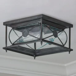 Hampton Indoor/Outdoor Ceiling Light