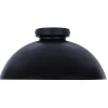 Henshaw Ceiling Light