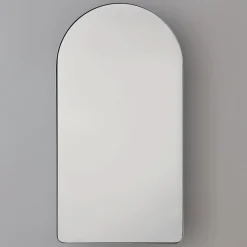Ianua Medicine Cabinet Mirror