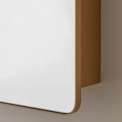 Ianua Medicine Cabinet Mirror