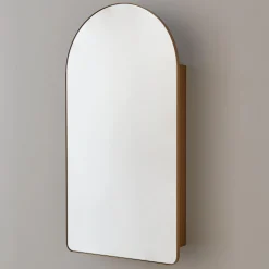 Ianua Medicine Cabinet Mirror