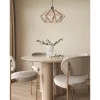 Ikaika Convertible Ceiling Light