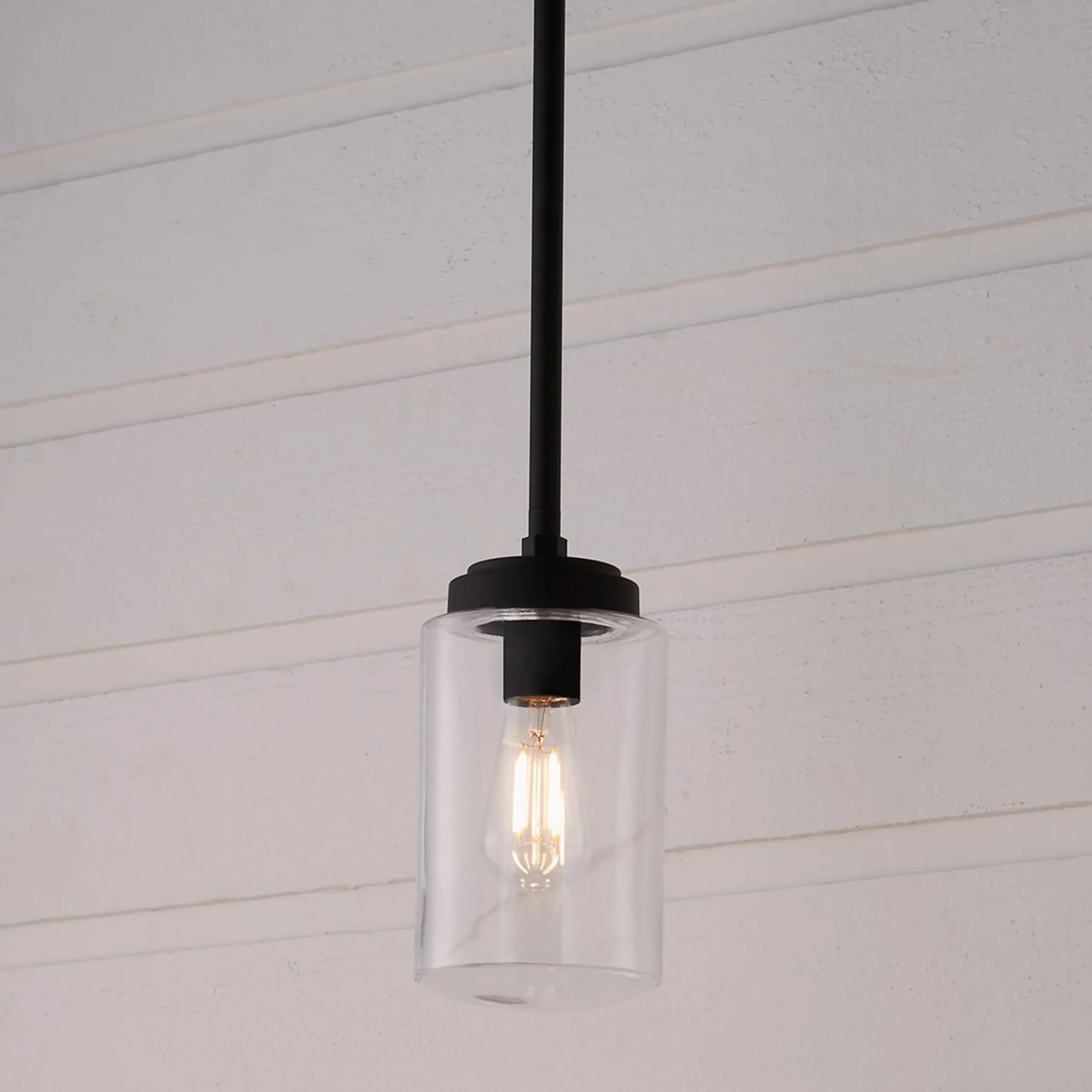 Industrial Oasis Outdoor Pendant