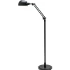 Industrial Pharmacy Floor Lamp