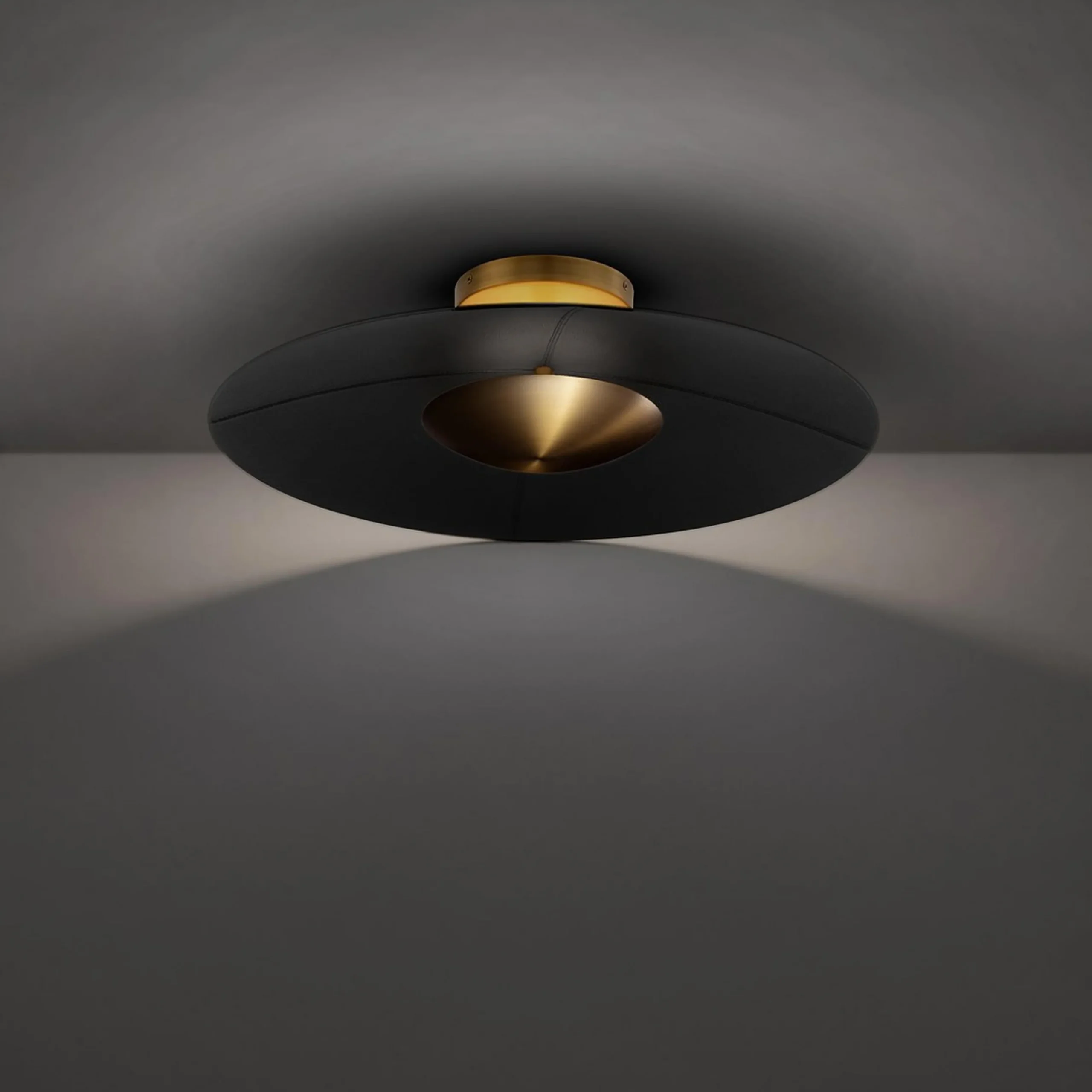 Ivano LED Convertible Ceiling Light