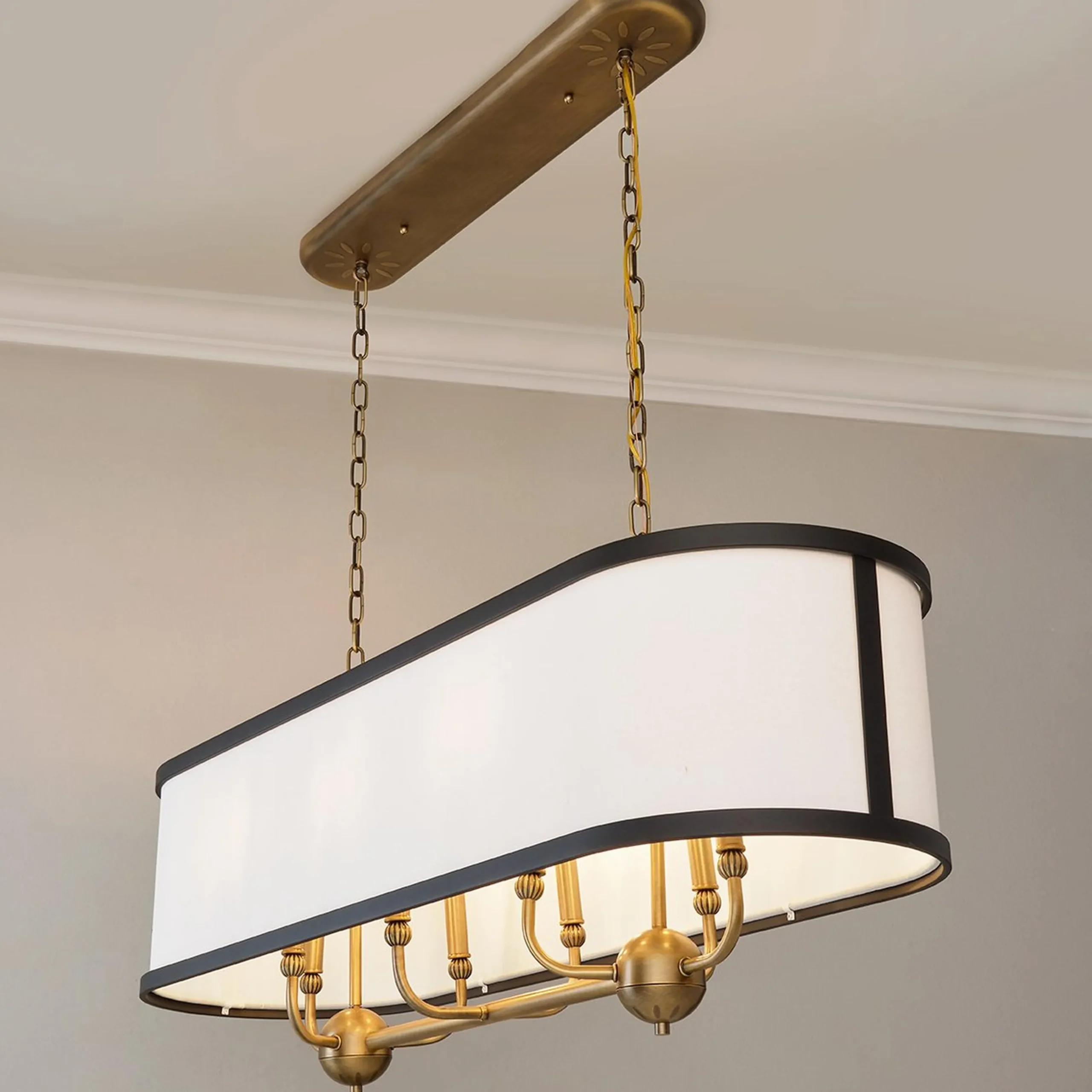 Jackdaw Island Chandelier
