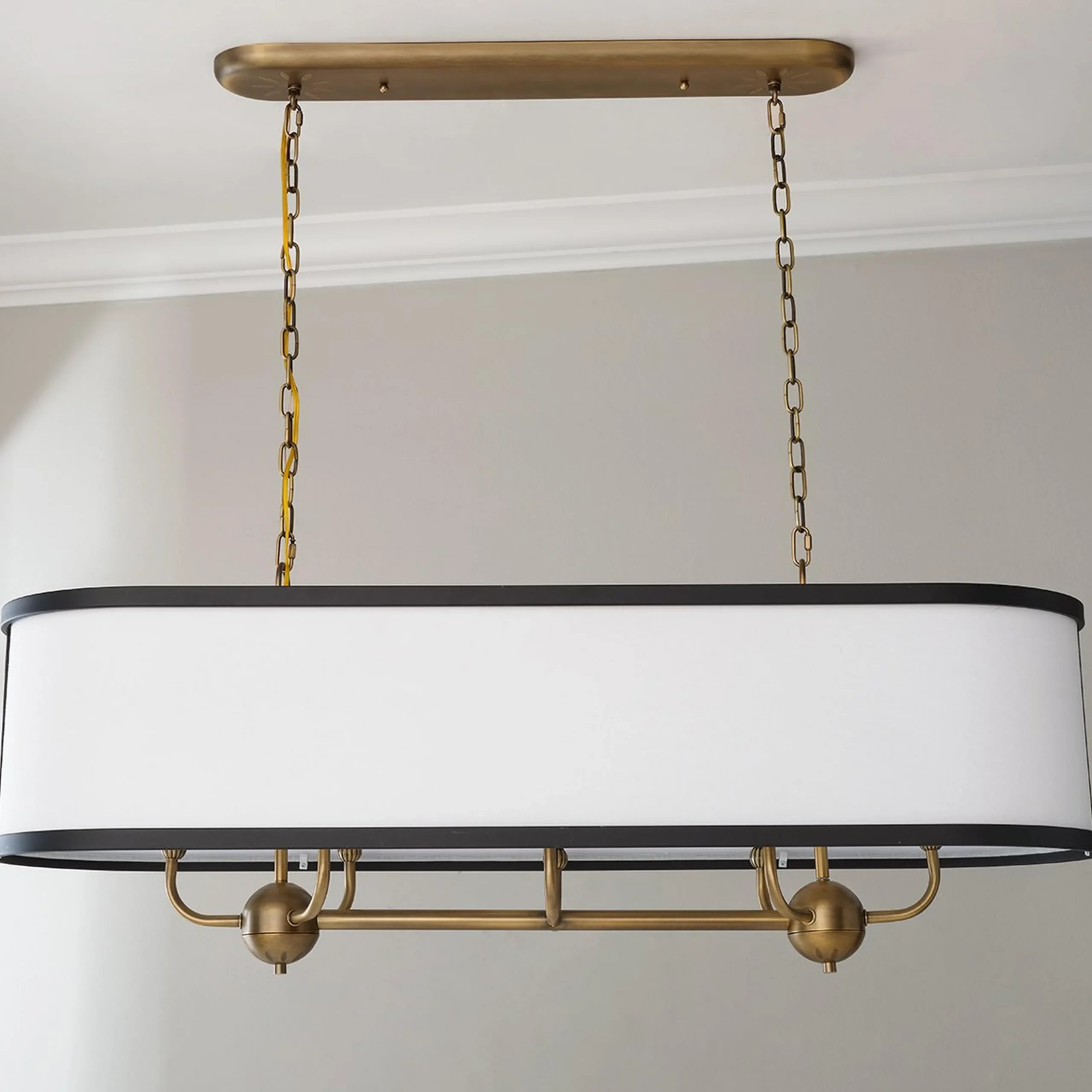 Jackdaw Island Chandelier