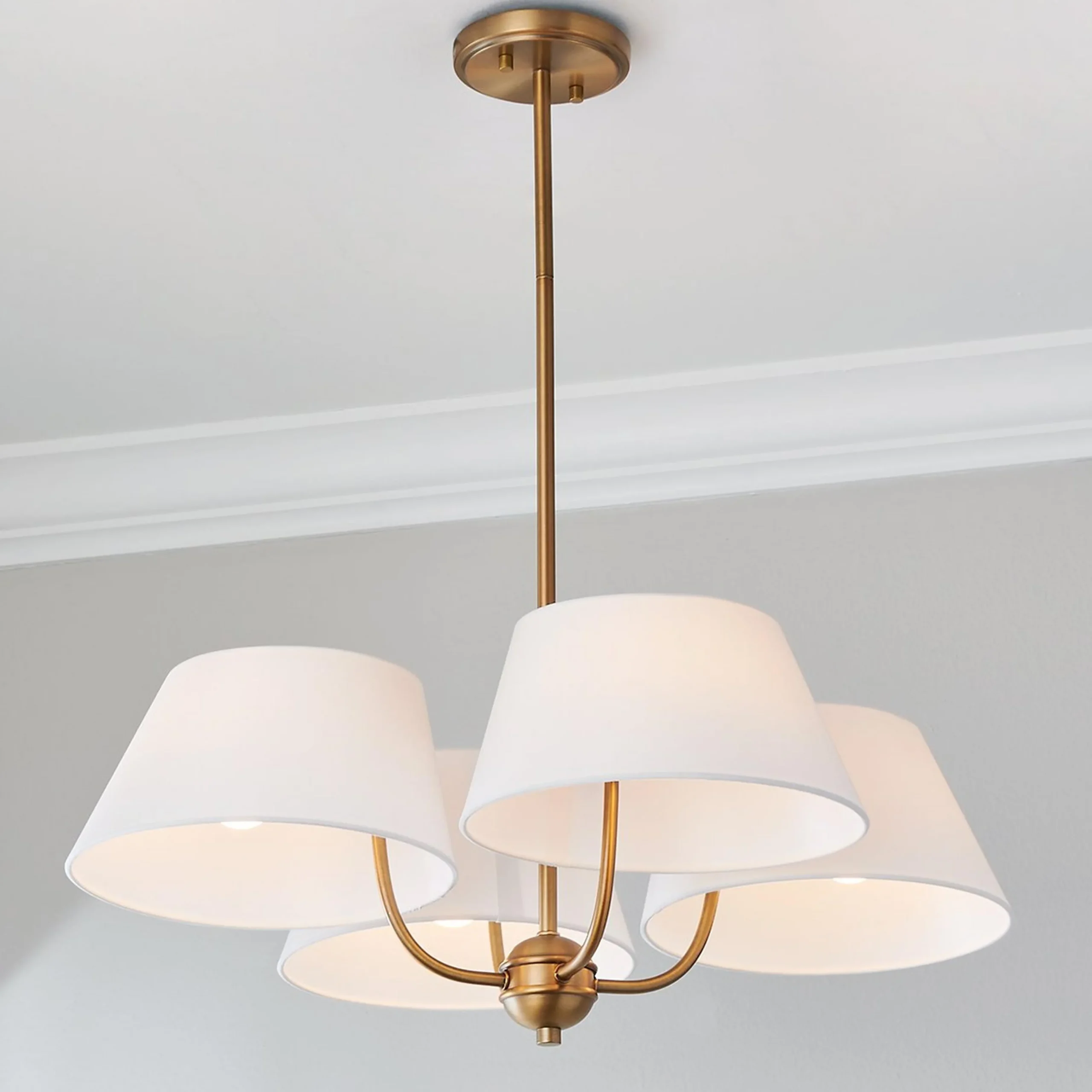Jardani Chandelier - 4 Light