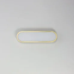 Julius LED Vanity Light - 18
