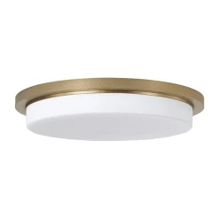 Langlais LED Ceiling Light