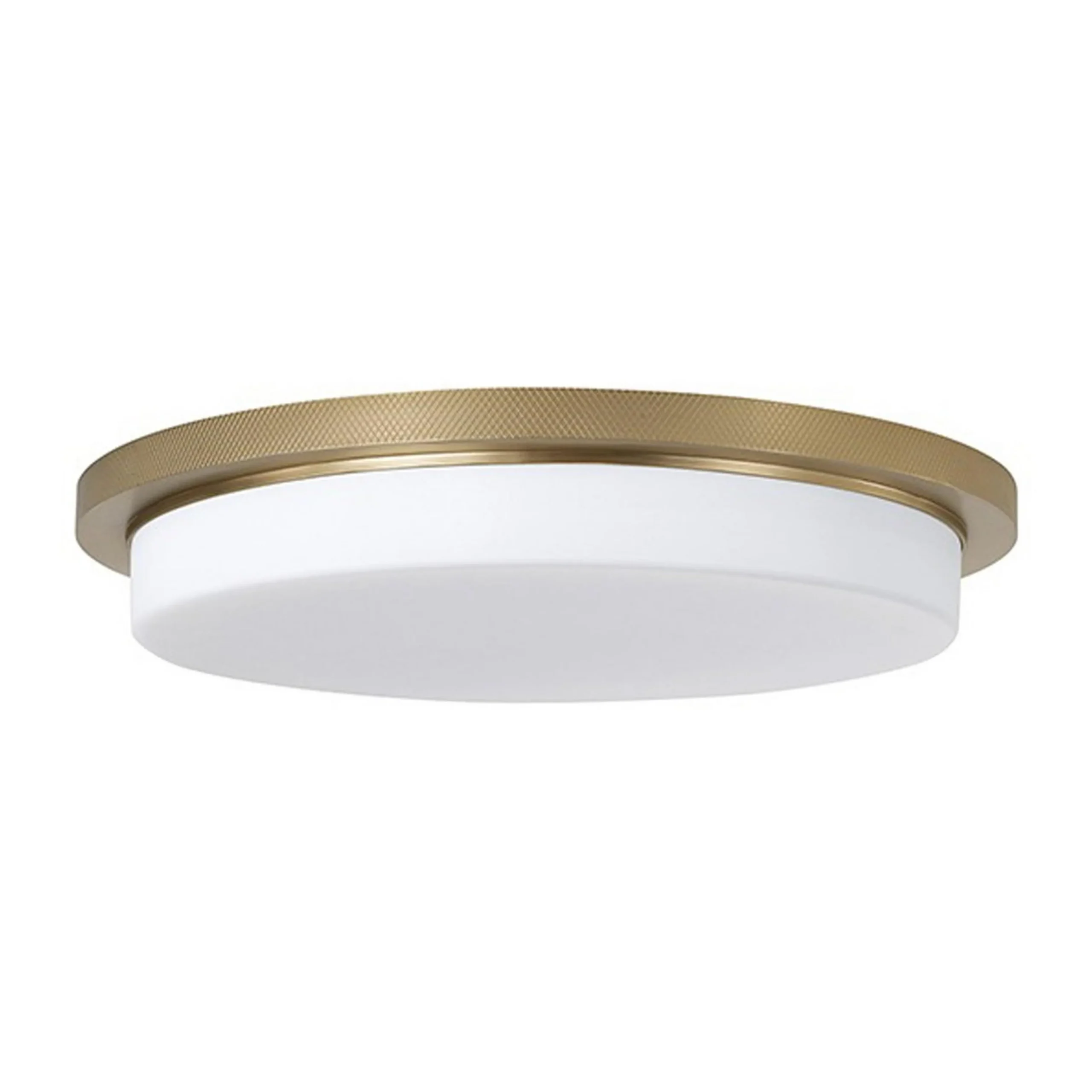 Langlais LED Ceiling Light