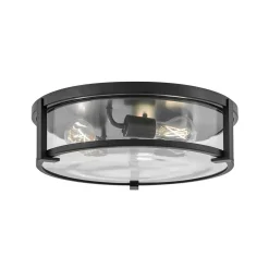 Lenora Clear Glass Ceiling Light