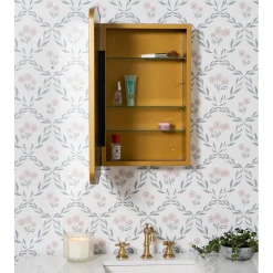 Littleton Medicine Cabinet Mirror