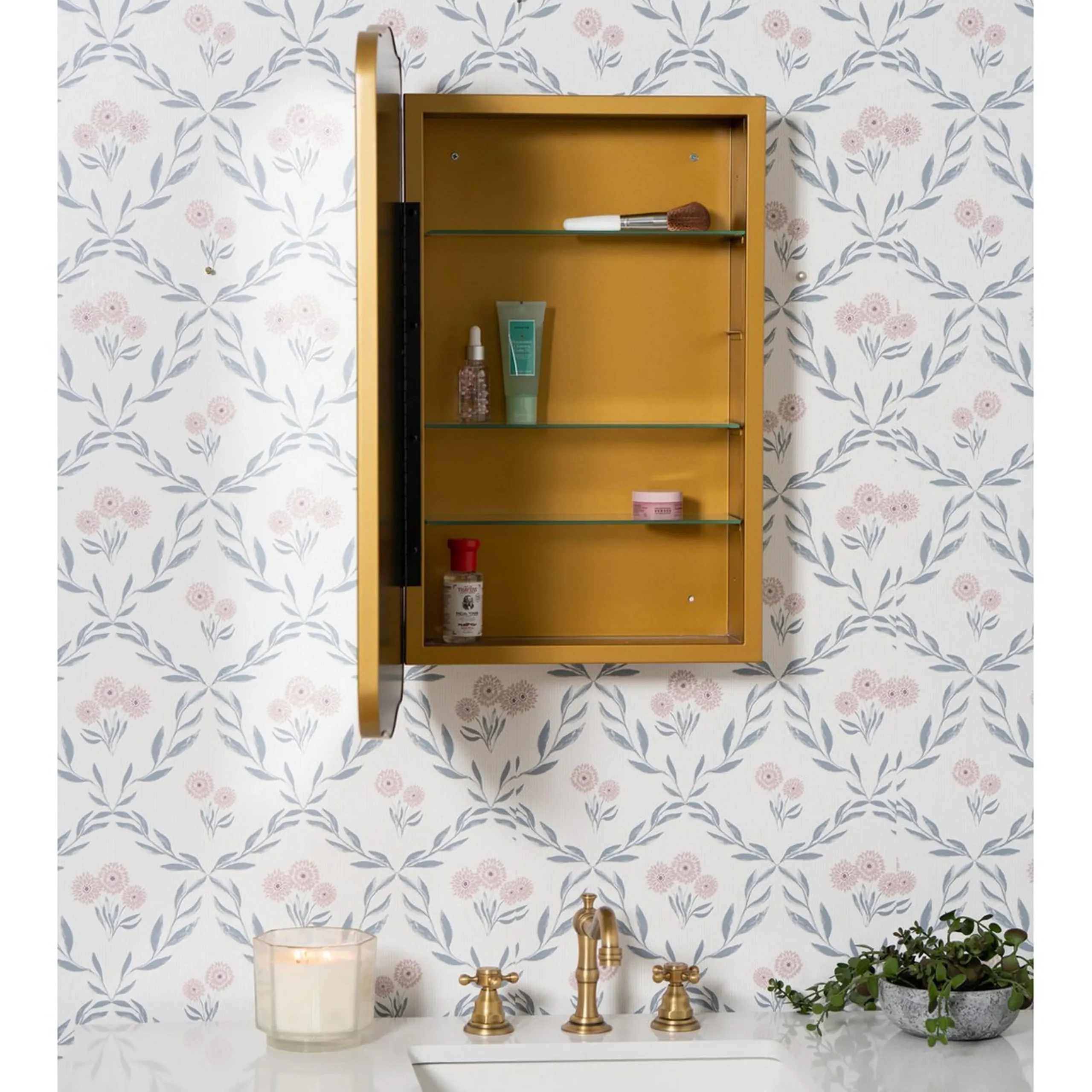 Littleton Medicine Cabinet Mirror