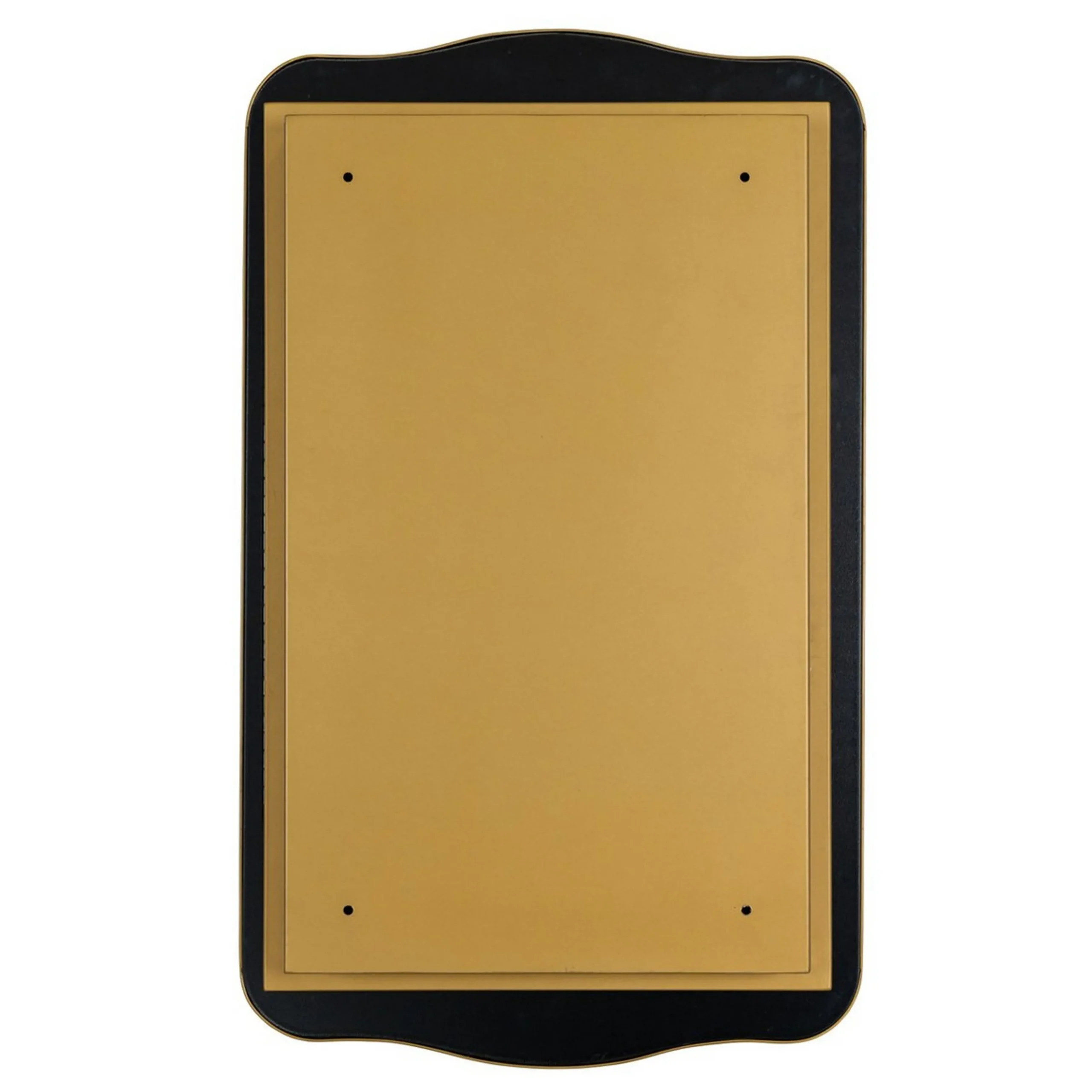 Littleton Medicine Cabinet Mirror
