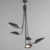 Ludisia LED Chandelier