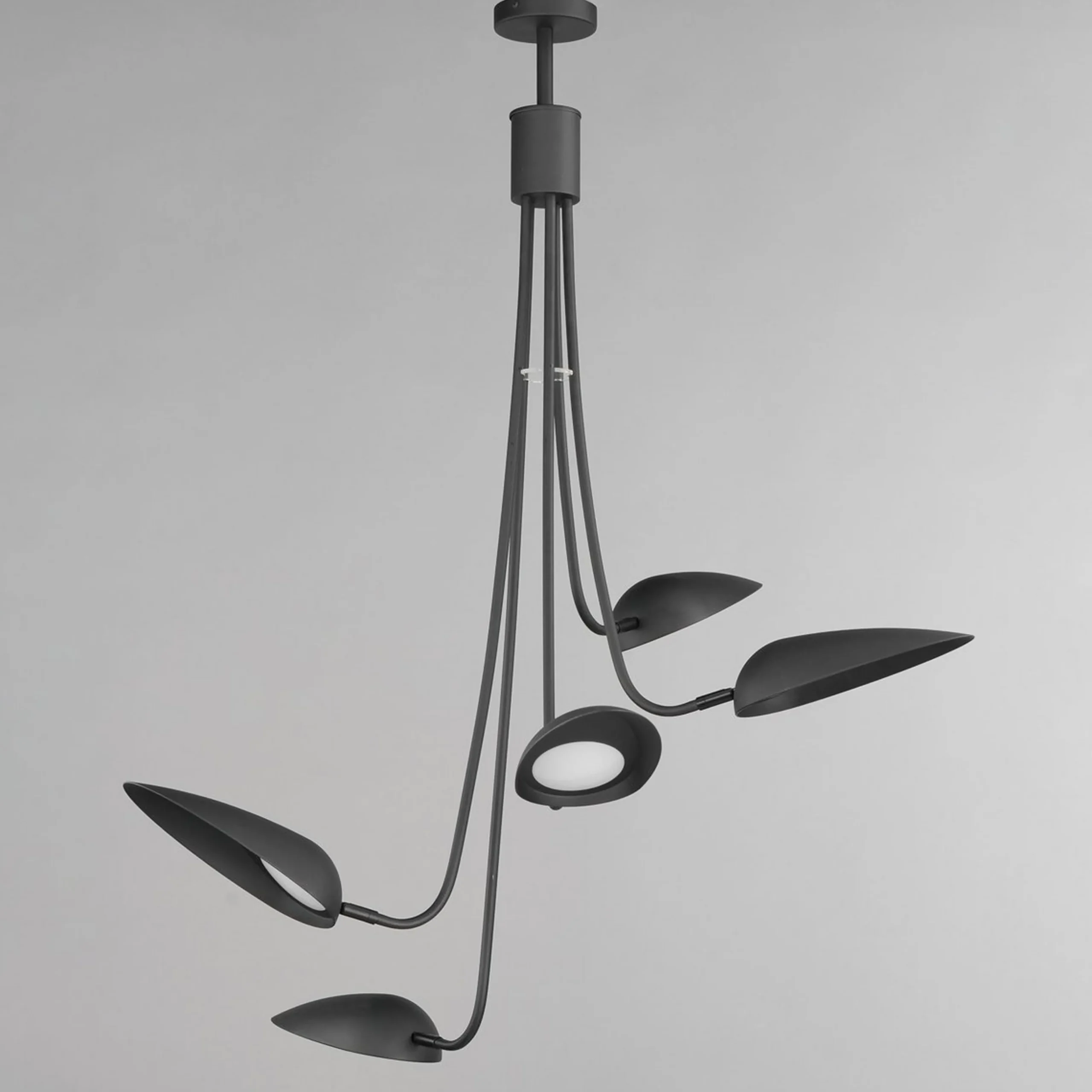 Ludisia LED Chandelier
