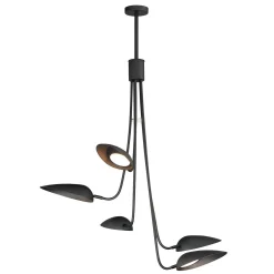 Ludisia LED Chandelier