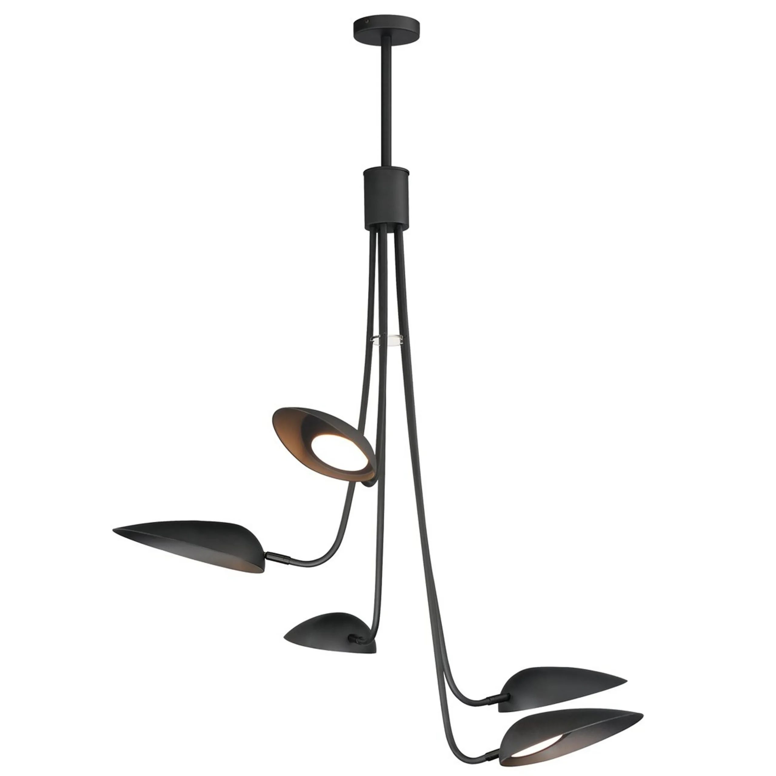 Ludisia LED Chandelier