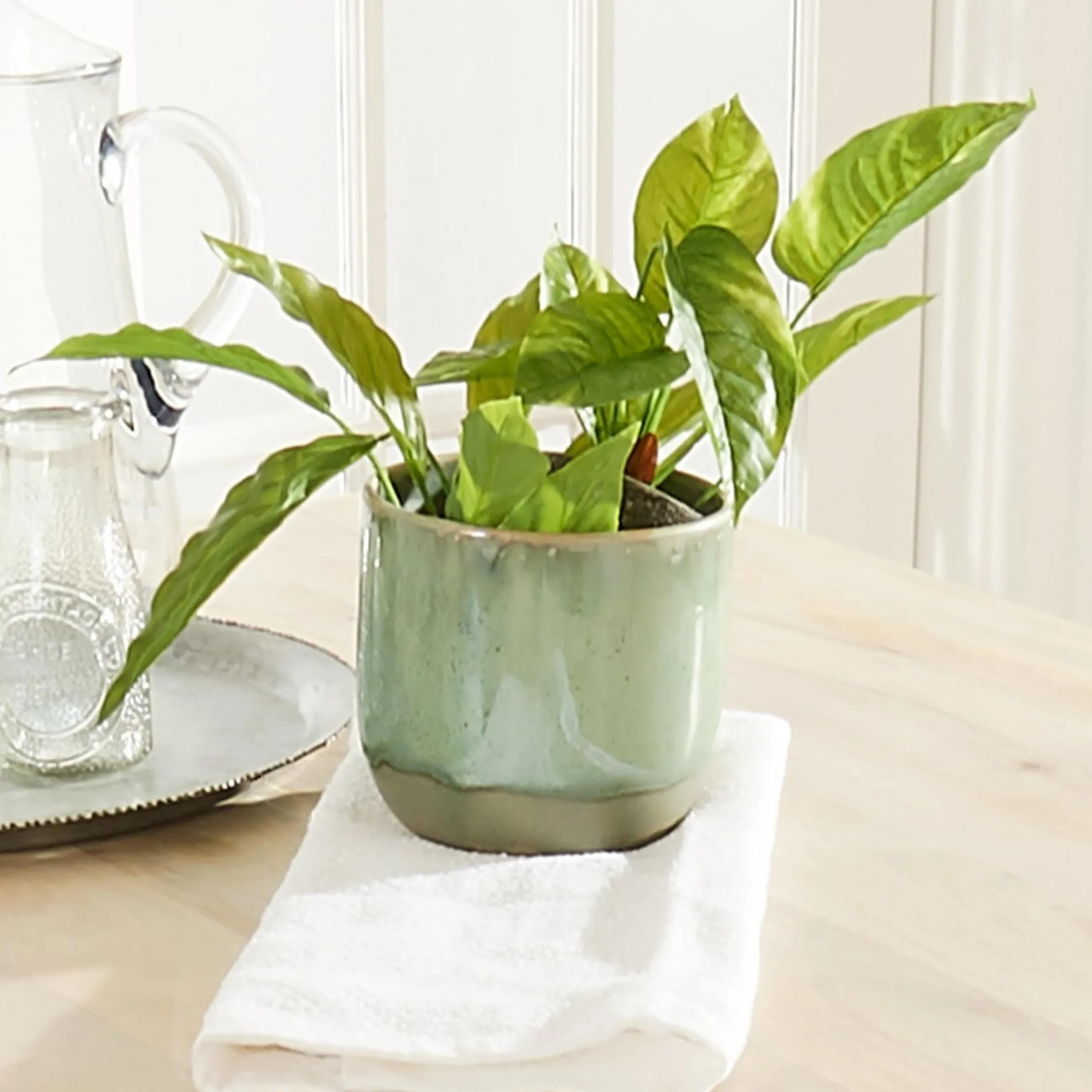 Marbled Pot