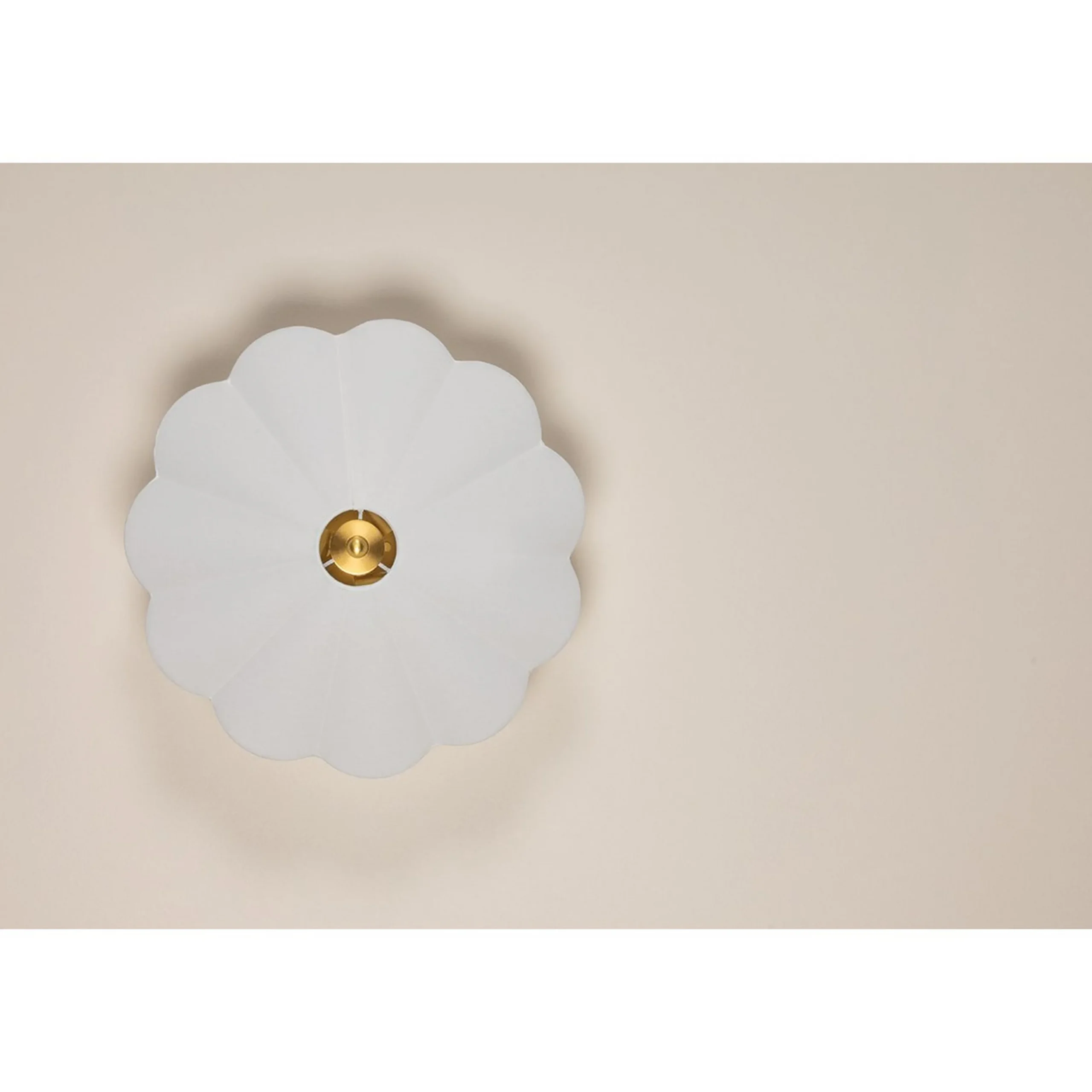 Marilou Convertible Ceiling Light