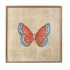 Mariposa Wall Art