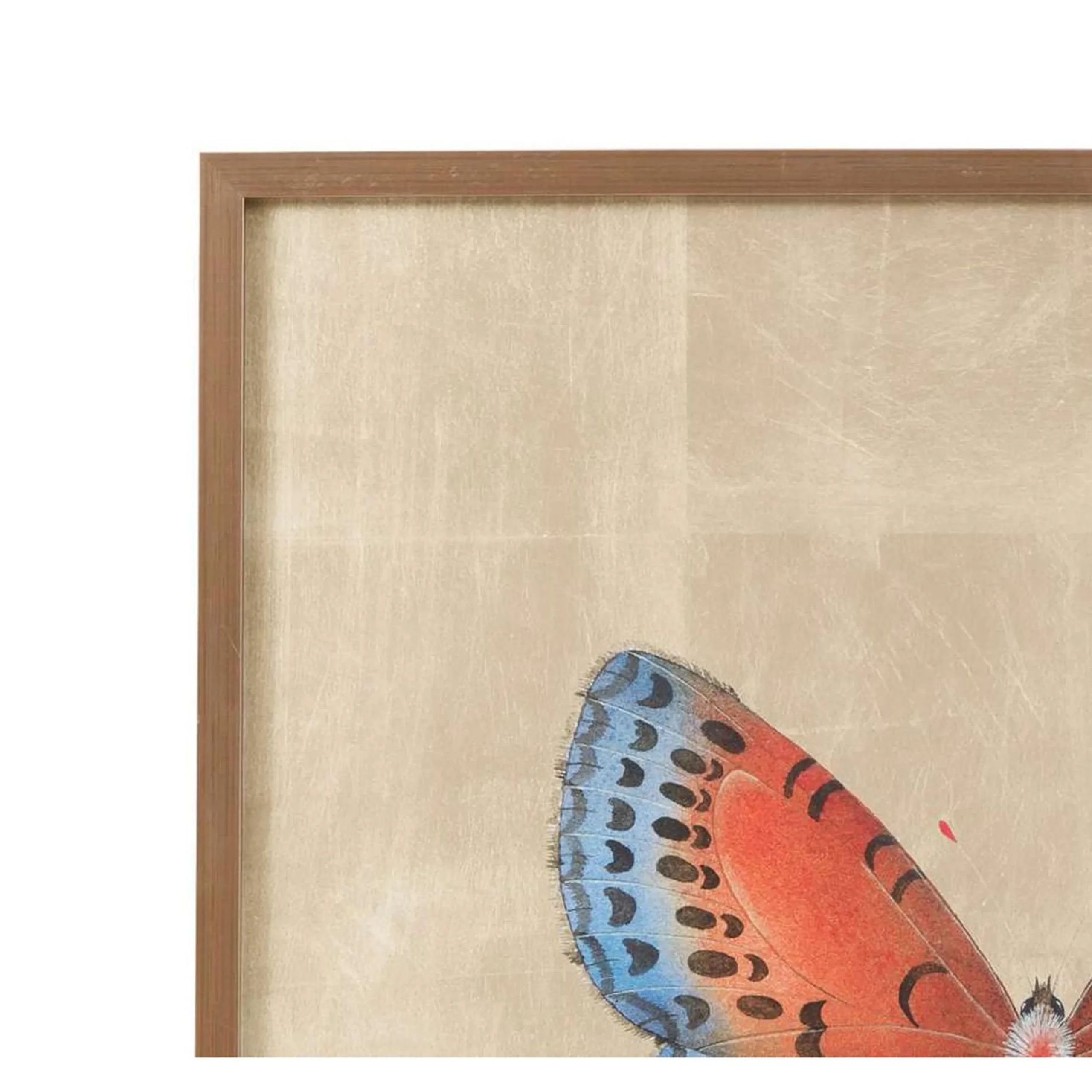 Mariposa Wall Art